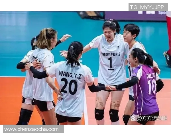深入分析杭州排球队的控制打法及其战术优势与应用
