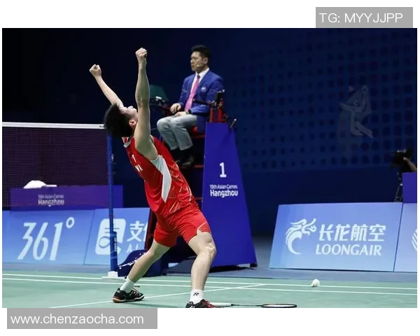 羽毛球深度探索：揭秘杭州羽毛球队的成功运营与发展策略