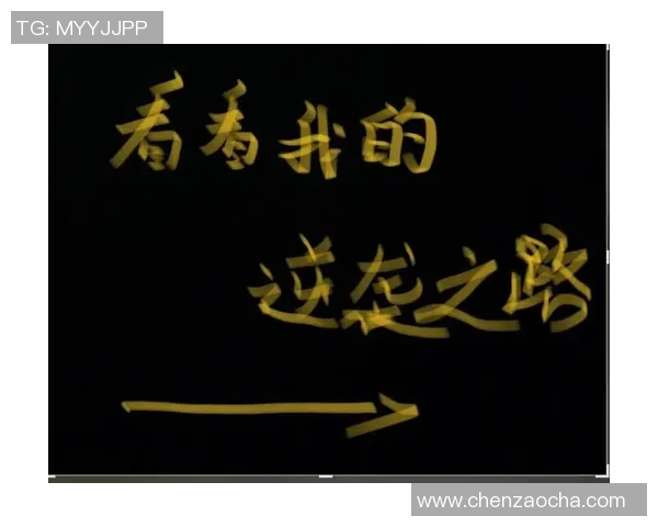 逆袭之路：成都篮球队的奋斗与荣耀全记录