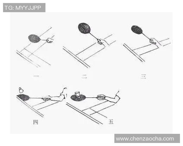 羽毛球新手必看：从基础到战术的全面入门指南