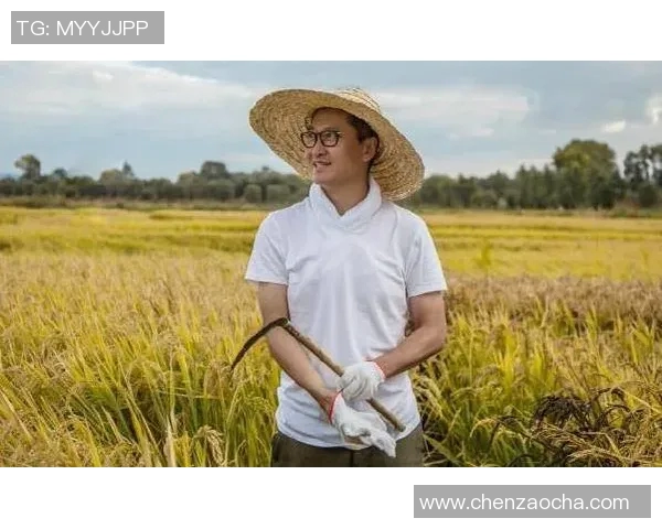 南京排球队崛起之路：从默默无闻到邀请赛的璀璨明星