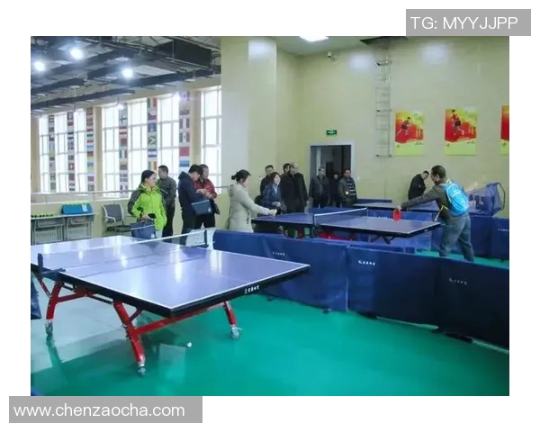 对话乒乓球传奇陈伟探讨他的辉煌生涯与未来展望