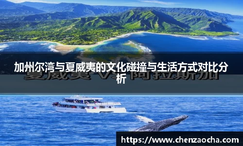 三亿体育
