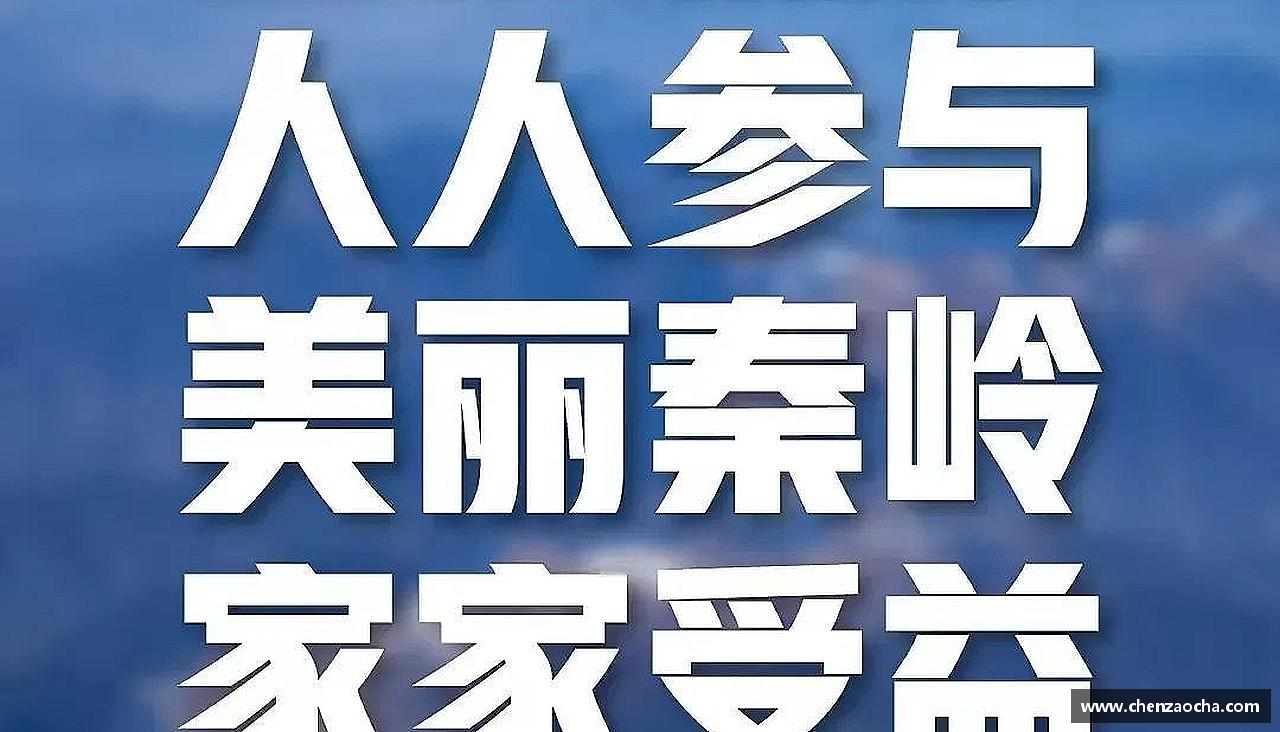 激情体验，体育生活